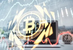 Why This $730 Billion Loss Will Reshape the Future of Cryptocurrency